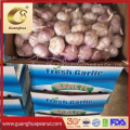 Wholesale Price Best Quality Fresh Garlic From China